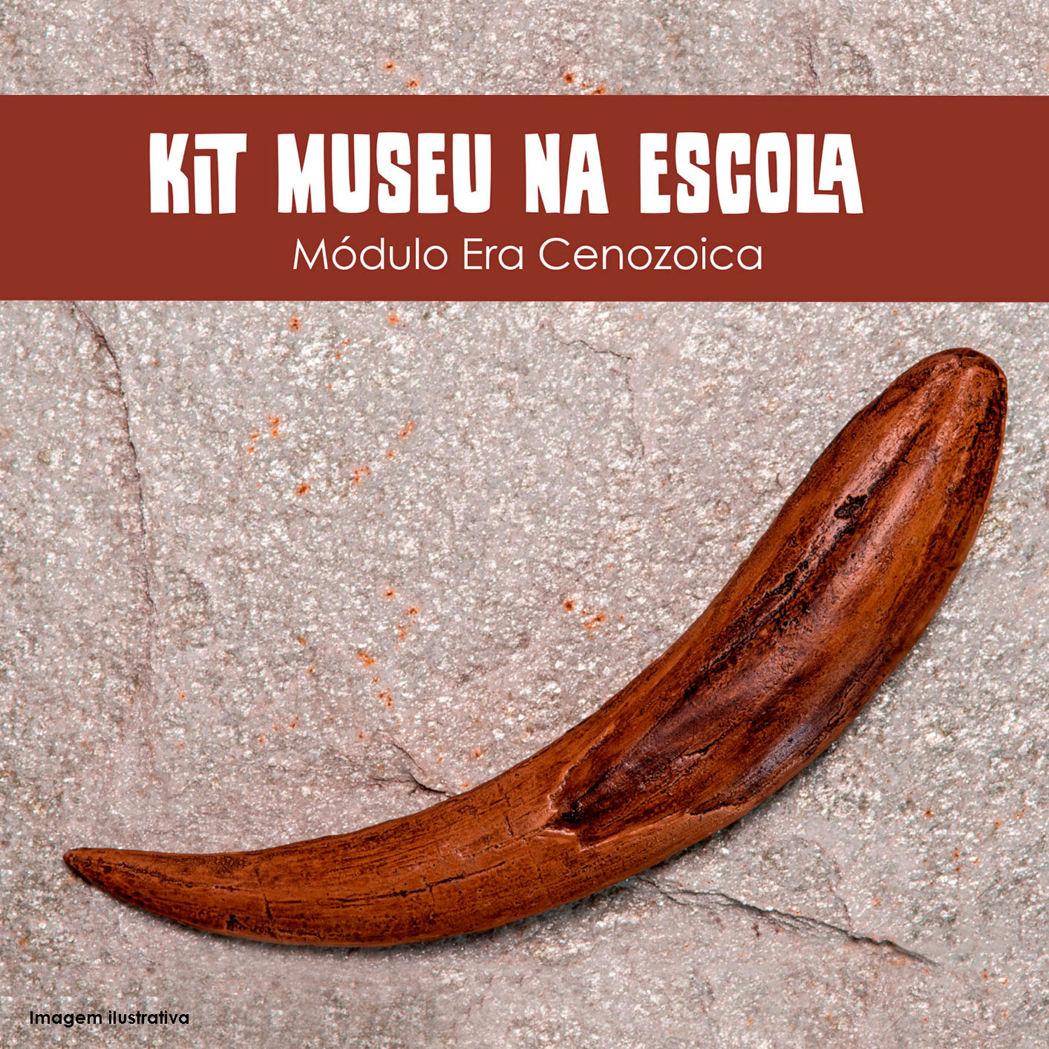 Coleção Museu na Escola: Módulo Era Cenozoica