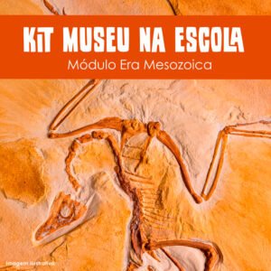 Coleção Museu na Escola: Módulo Era Mesozoica