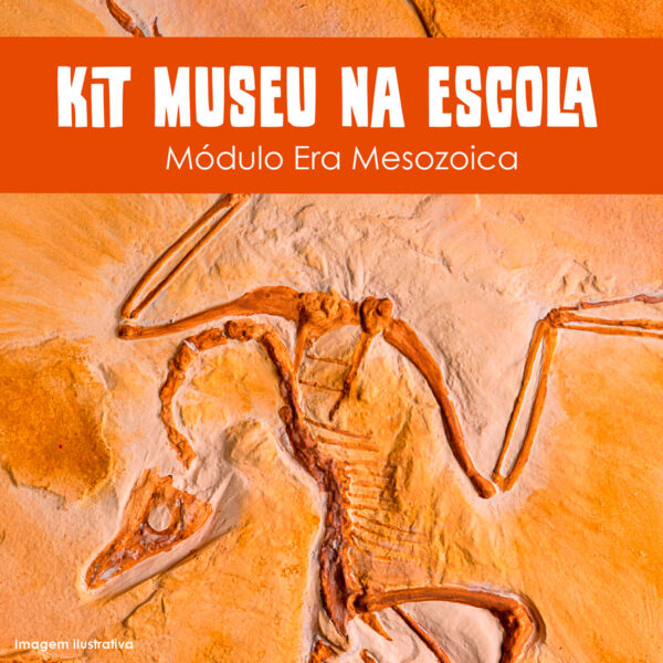Coleção Museu na Escola: Módulo Era Mesozoica