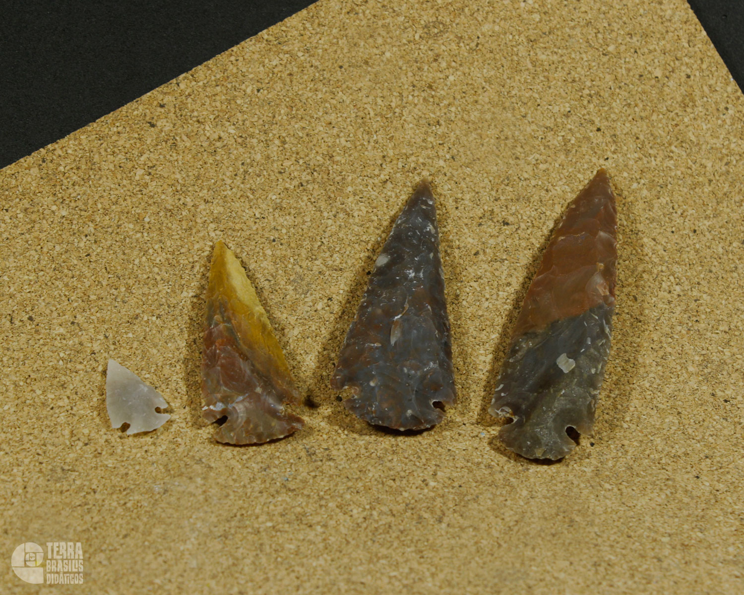 Kit Paleolítico - Imagem 2