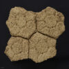 Placa osteodérmica de <i>Glyptodon reticulatus</i> - Image 2