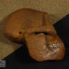Hemicrânio direito de <i>Homo habilis</i> - Imagem 2
