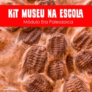 Coleção Museu na Escola: Módulo Era Paleozoica