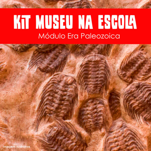 Coleção Museu na Escola: Módulo Era Paleozoica