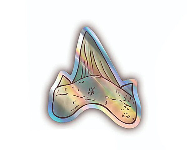 Adesivo Holográfico Dente de Tubarão