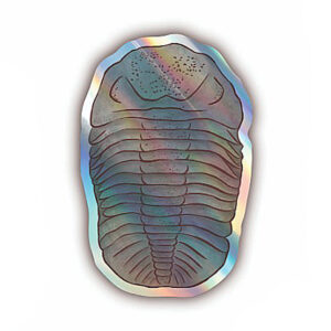 Adesivo Holográfico Trilobita