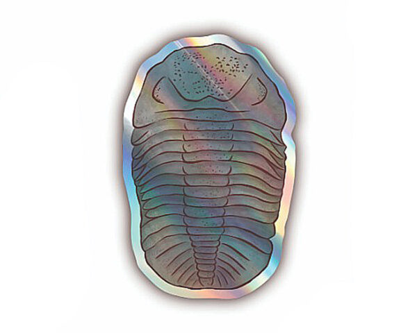 Adesivo Holográfico Trilobita