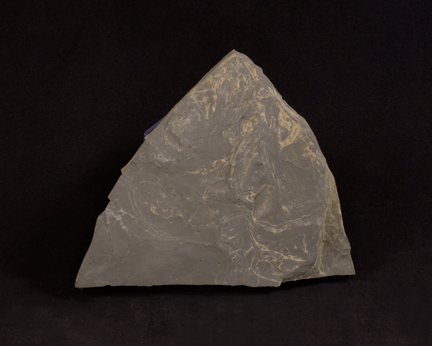 Kit Laboratório Geológico: Mudanças Paleoclimáticas - Imagem 3