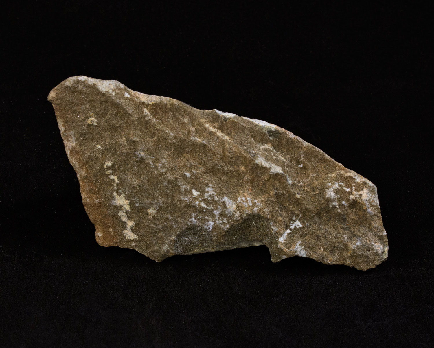 Kit Laboratório Geológico: Mudanças Paleoclimáticas - Imagem 4