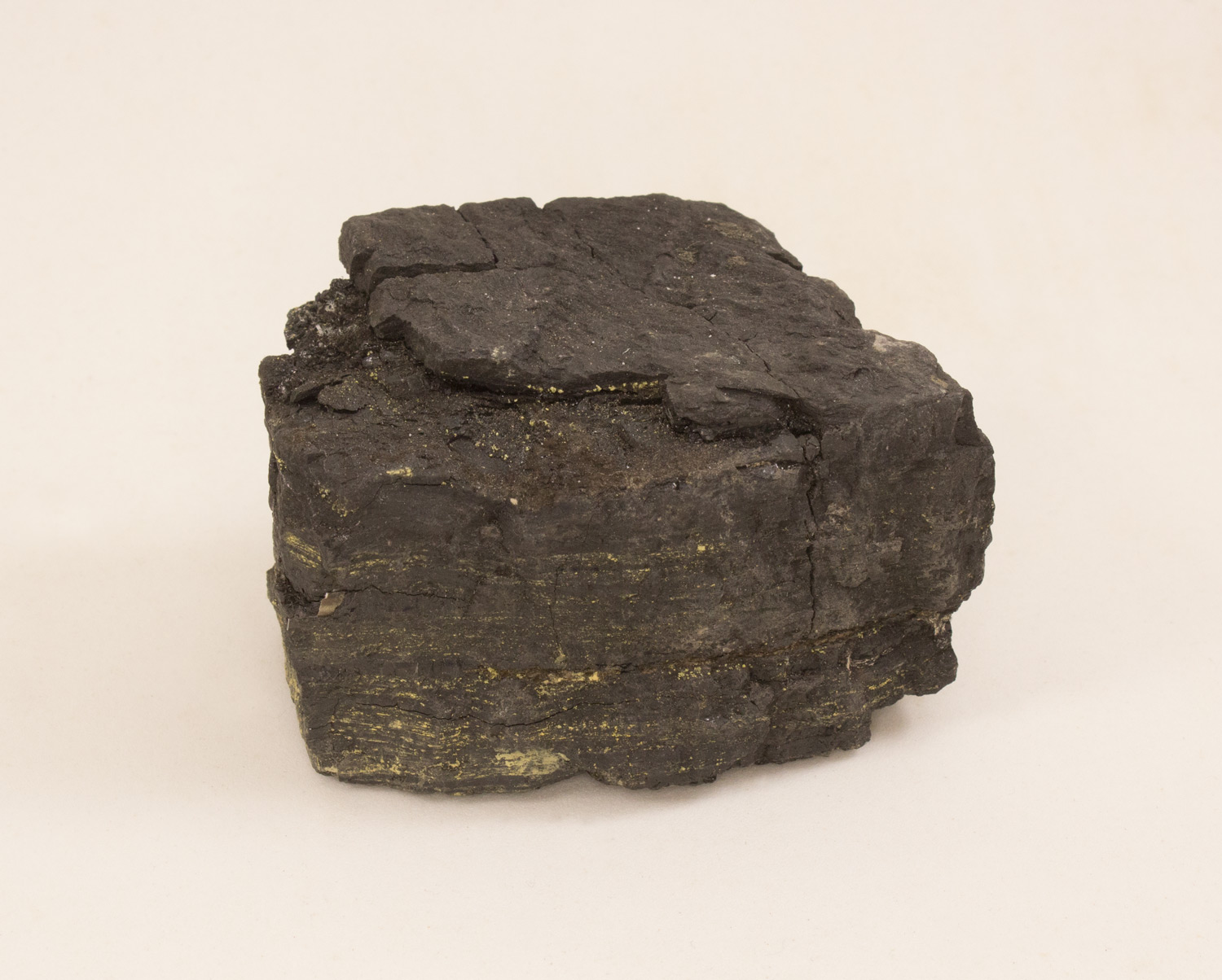 Kit Laboratório Geológico: Mudanças Paleoclimáticas - Imagem 6