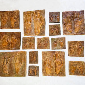 Kit Impressões Plantares dos Primatas Brasileiros + Livro de Introdução aos Primatas