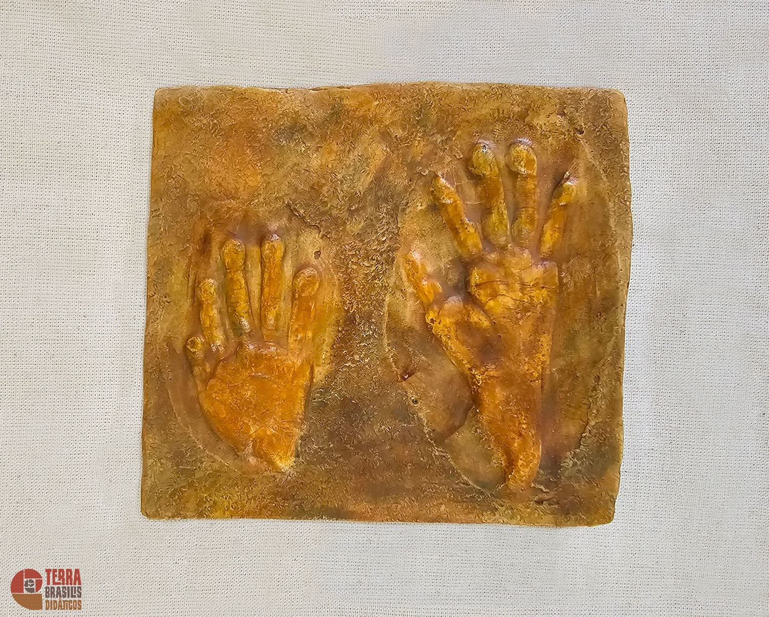 Kit Impressões Plantares dos Primatas Brasileiros + Grátis Livro Primatas do Brasil - Imagem 13