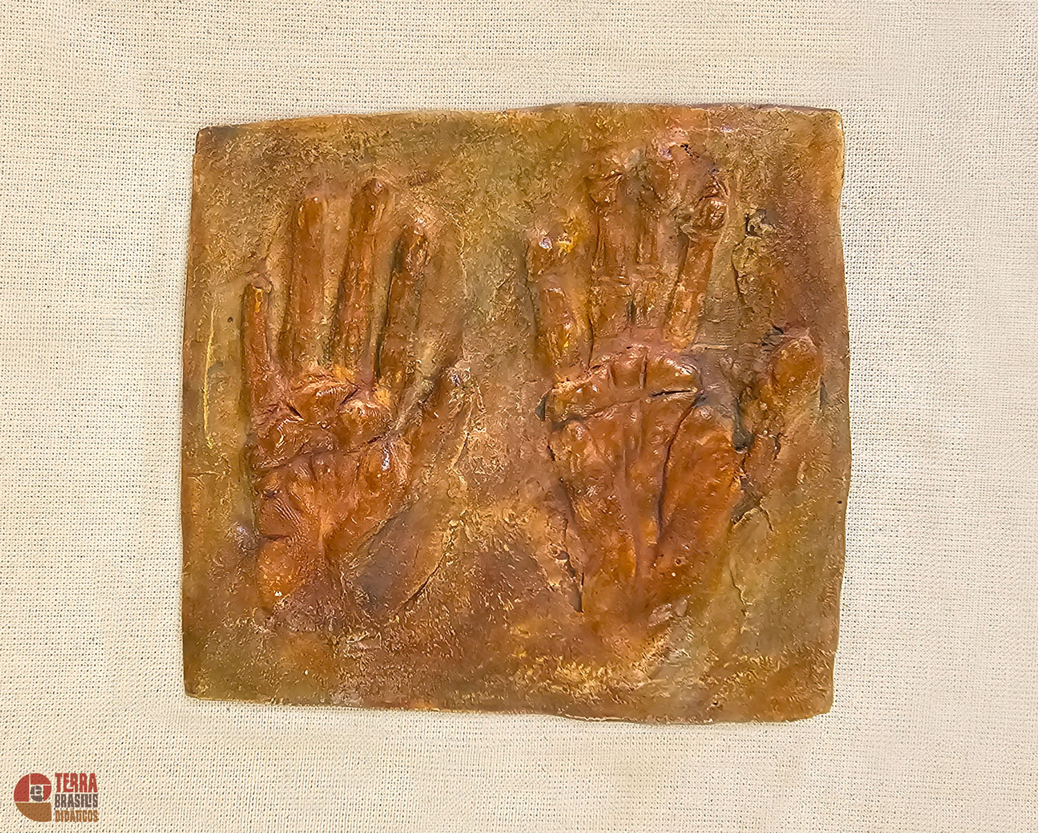 Kit Impressões Plantares dos Primatas Brasileiros + Grátis Livro Primatas do Brasil - Imagem 2