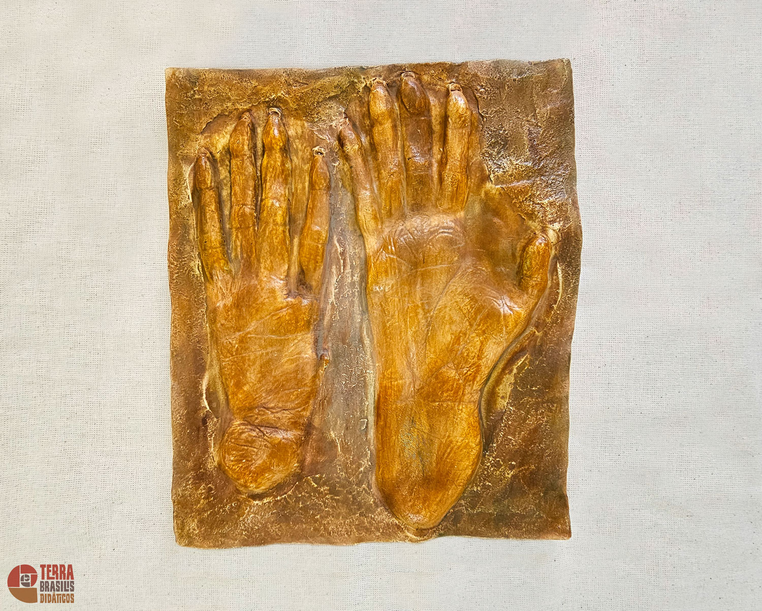 Kit Impressões Plantares dos Primatas Brasileiros + Grátis Livro Primatas do Brasil - Imagem 3