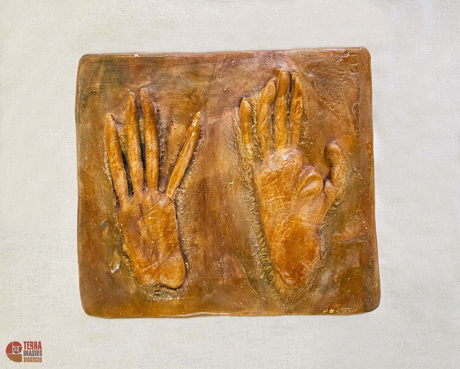 Kit Impressões Plantares dos Primatas Brasileiros + Grátis Livro Primatas do Brasil - Imagem 4