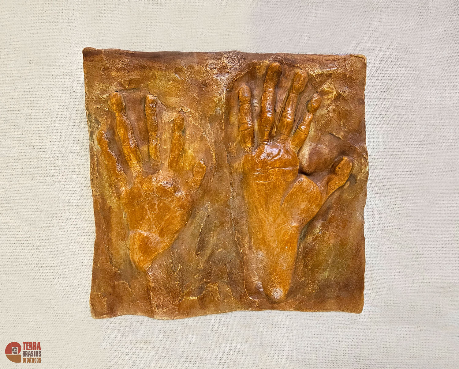 Kit Impressões Plantares dos Primatas Brasileiros + Grátis Livro Primatas do Brasil - Imagem 5