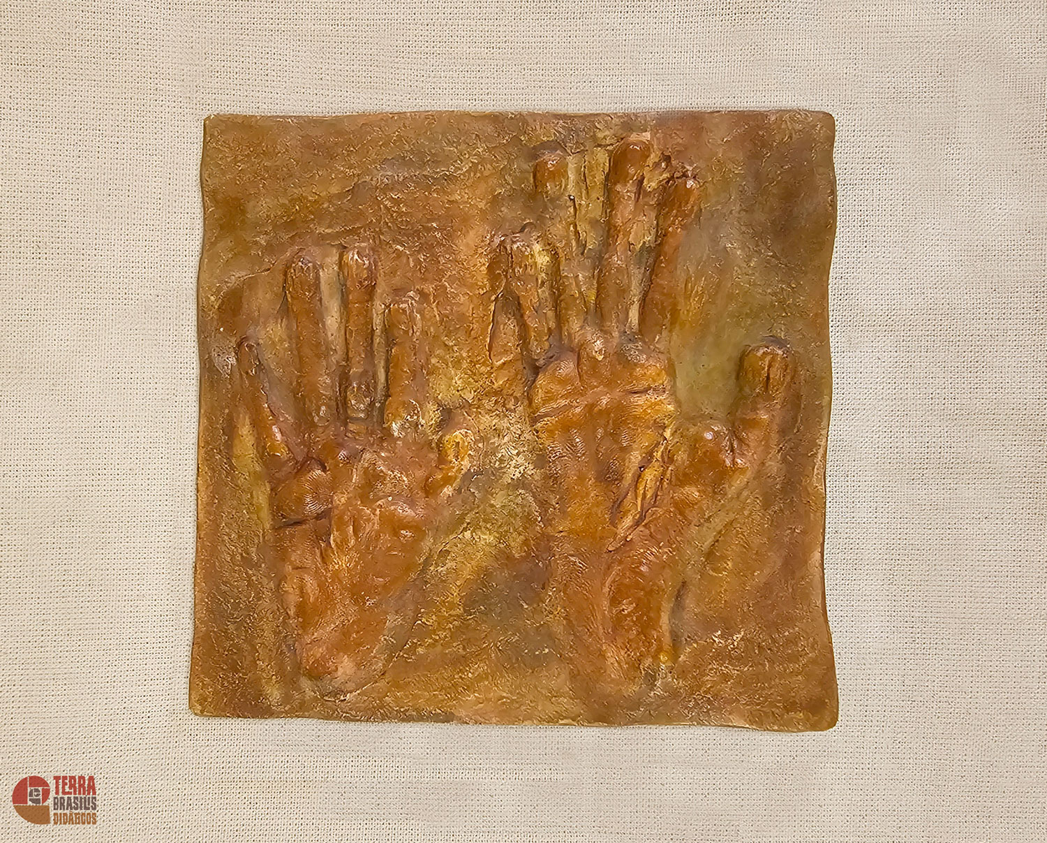 Kit Impressões Plantares dos Primatas Brasileiros + Grátis Livro Primatas do Brasil - Imagem 6