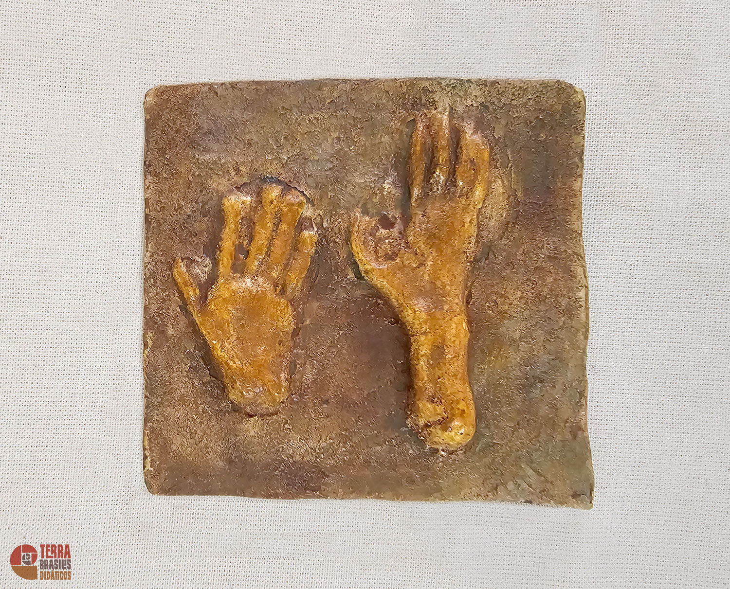 Kit Impressões Plantares dos Primatas Brasileiros + Grátis Livro Primatas do Brasil - Imagem 7