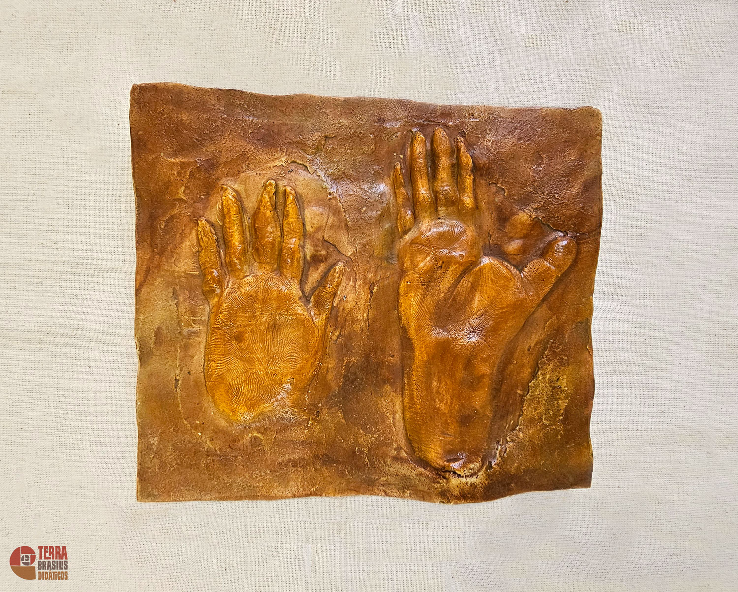 Kit Impressões Plantares dos Primatas Brasileiros + Grátis Livro Primatas do Brasil - Imagem 8