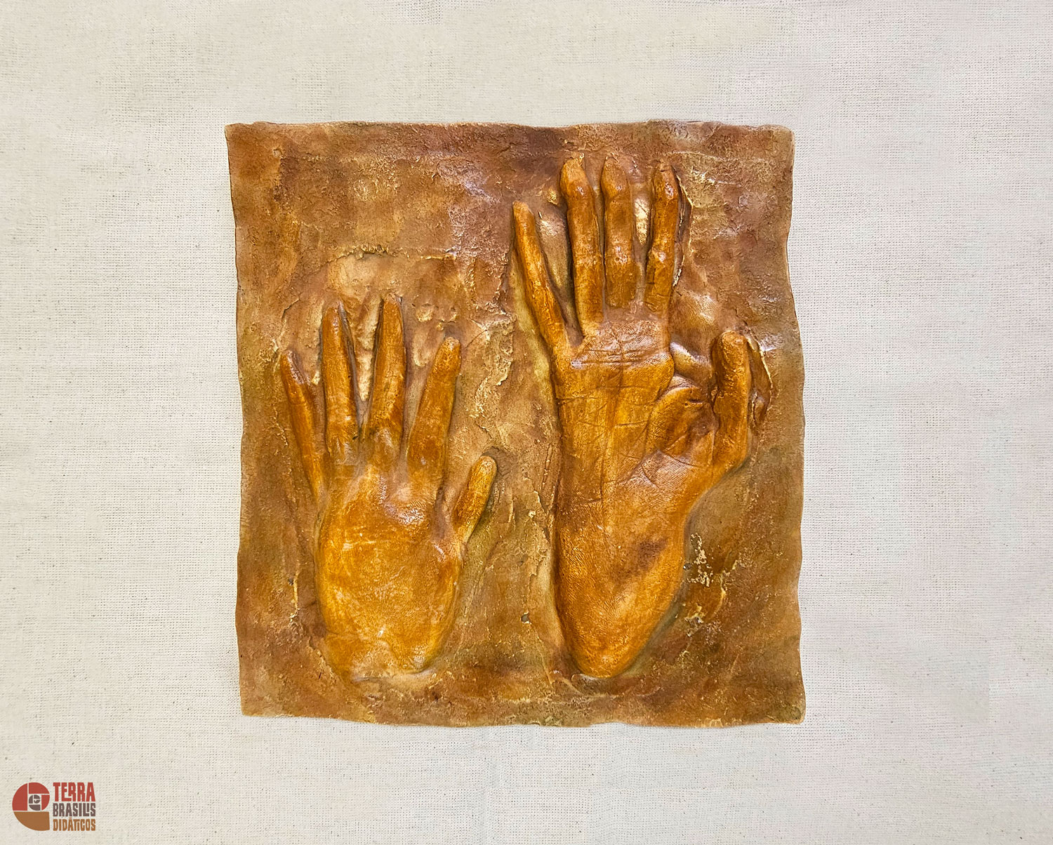 Kit Impressões Plantares dos Primatas Brasileiros + Grátis Livro Primatas do Brasil - Imagem 10