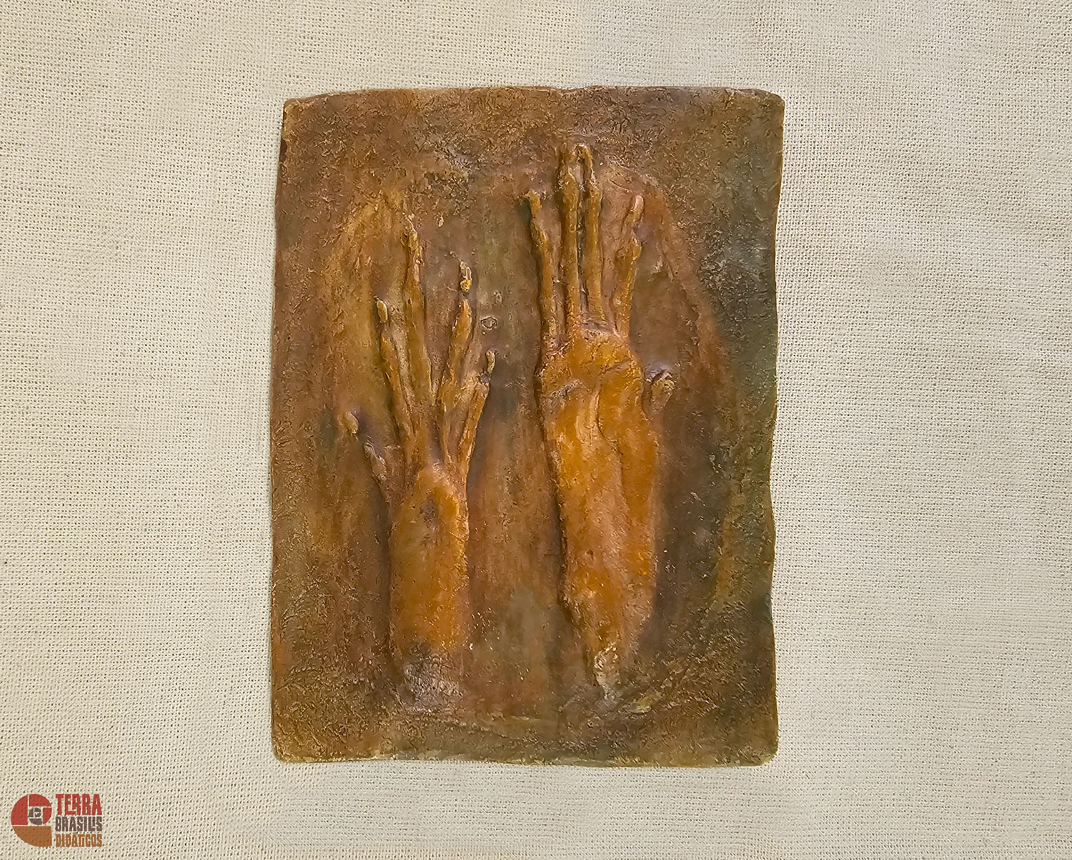 Kit Impressões Plantares dos Primatas Brasileiros + Grátis Livro Primatas do Brasil - Imagem 12