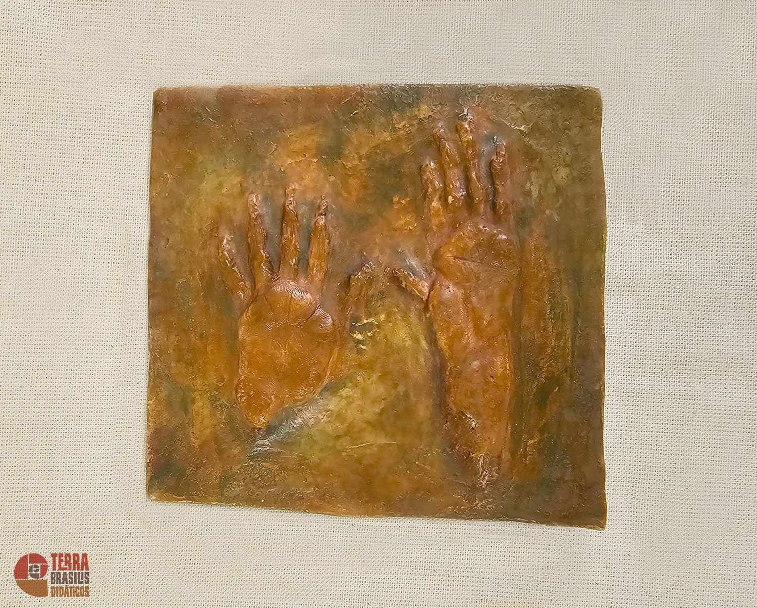 Kit Impressões Plantares dos Primatas Brasileiros + Grátis Livro Primatas do Brasil - Imagem 14