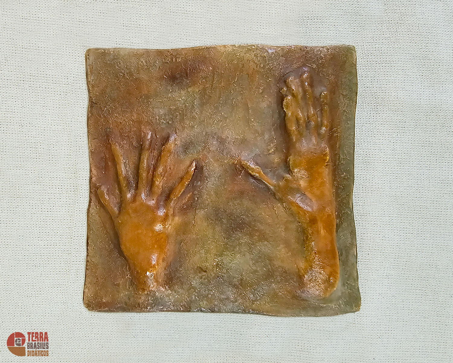 Kit Impressões Plantares dos Primatas Brasileiros + Grátis Livro Primatas do Brasil - Imagem 15