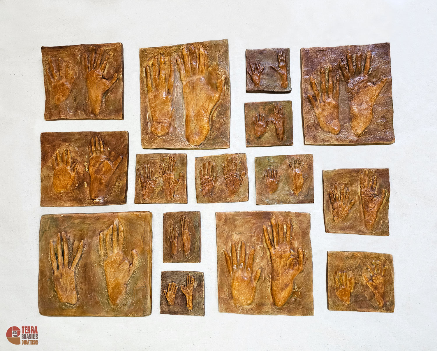 Kit Impressões Plantares dos Primatas Brasileiros + Grátis Livro Primatas do Brasil