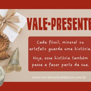 VALE-PRESENTE