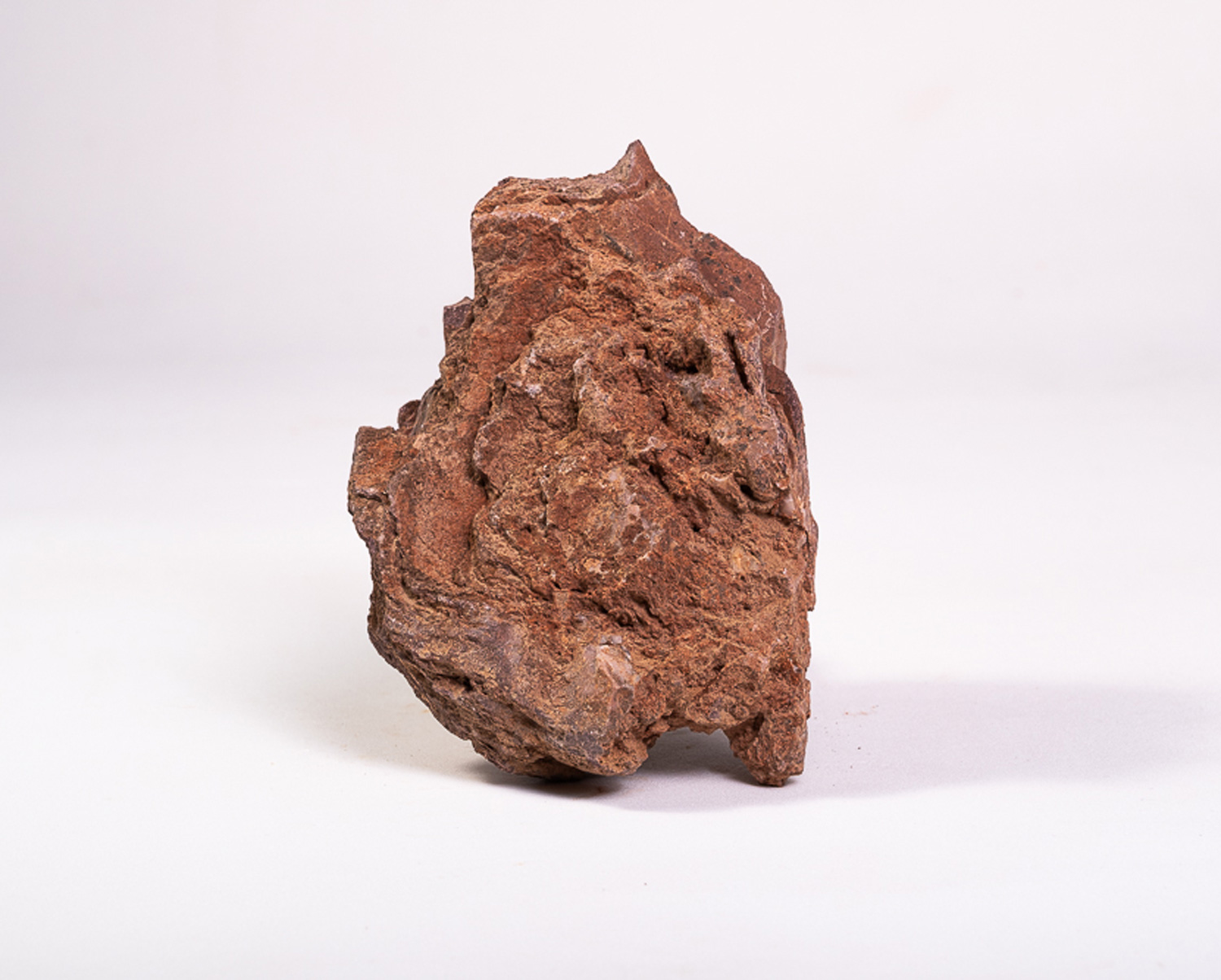 Estromatólito Neoproterozoico: <i>Conophyton amantourartensis</i> 4