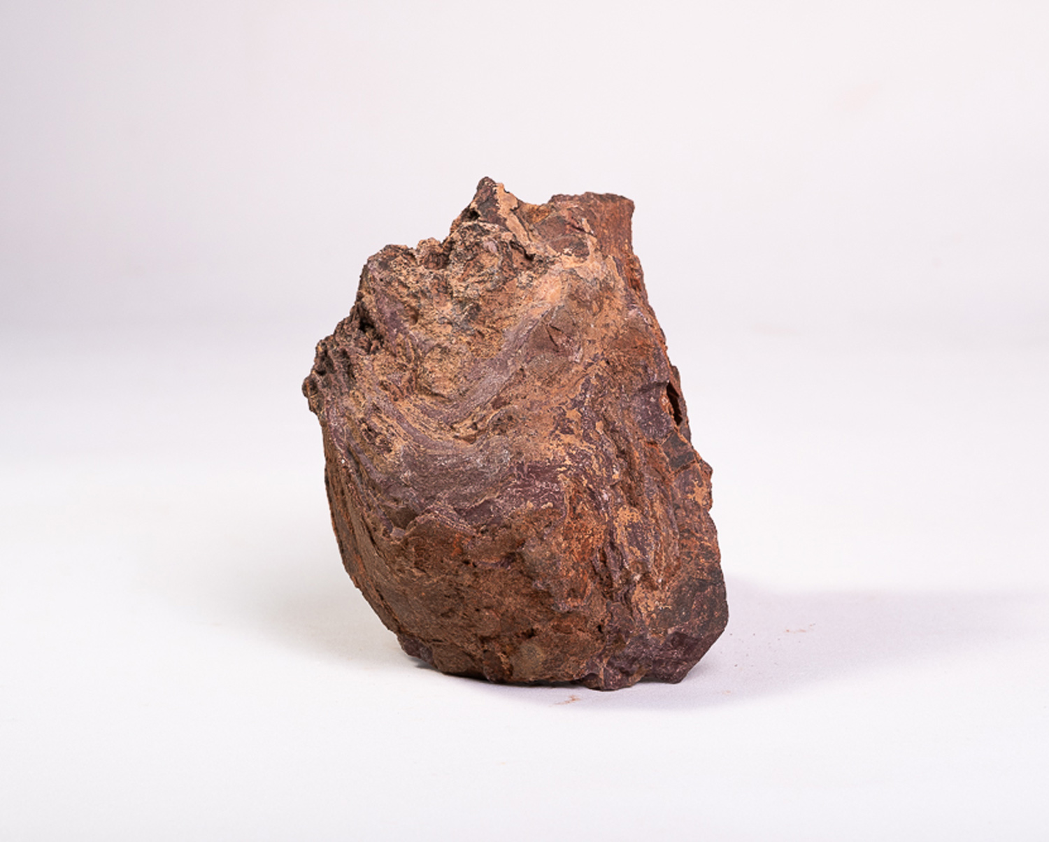 Estromatólito Neoproterozoico: <i>Conophyton amantourartensis</i> 4 (cópia)