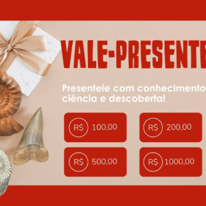 VALE-PRESENTE