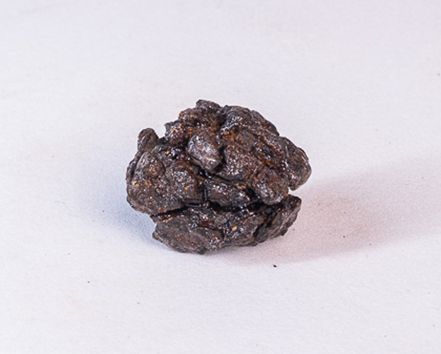 Meteorito Agoudal - 17