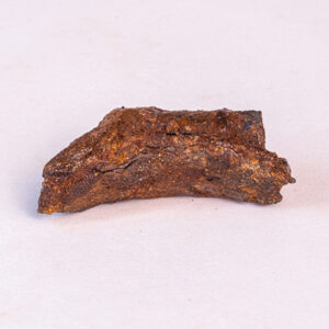 Meteorito Agoudal - 21
