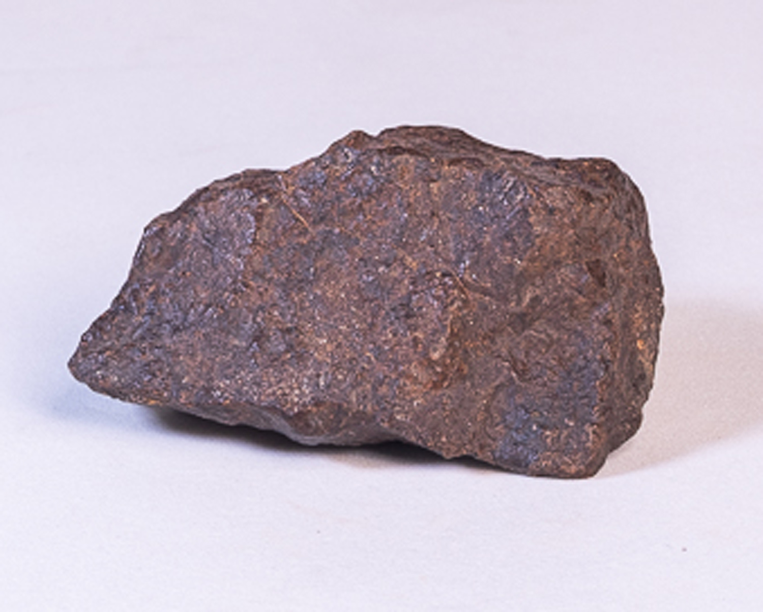 Meteorito NWA - L6 - Ref. 18