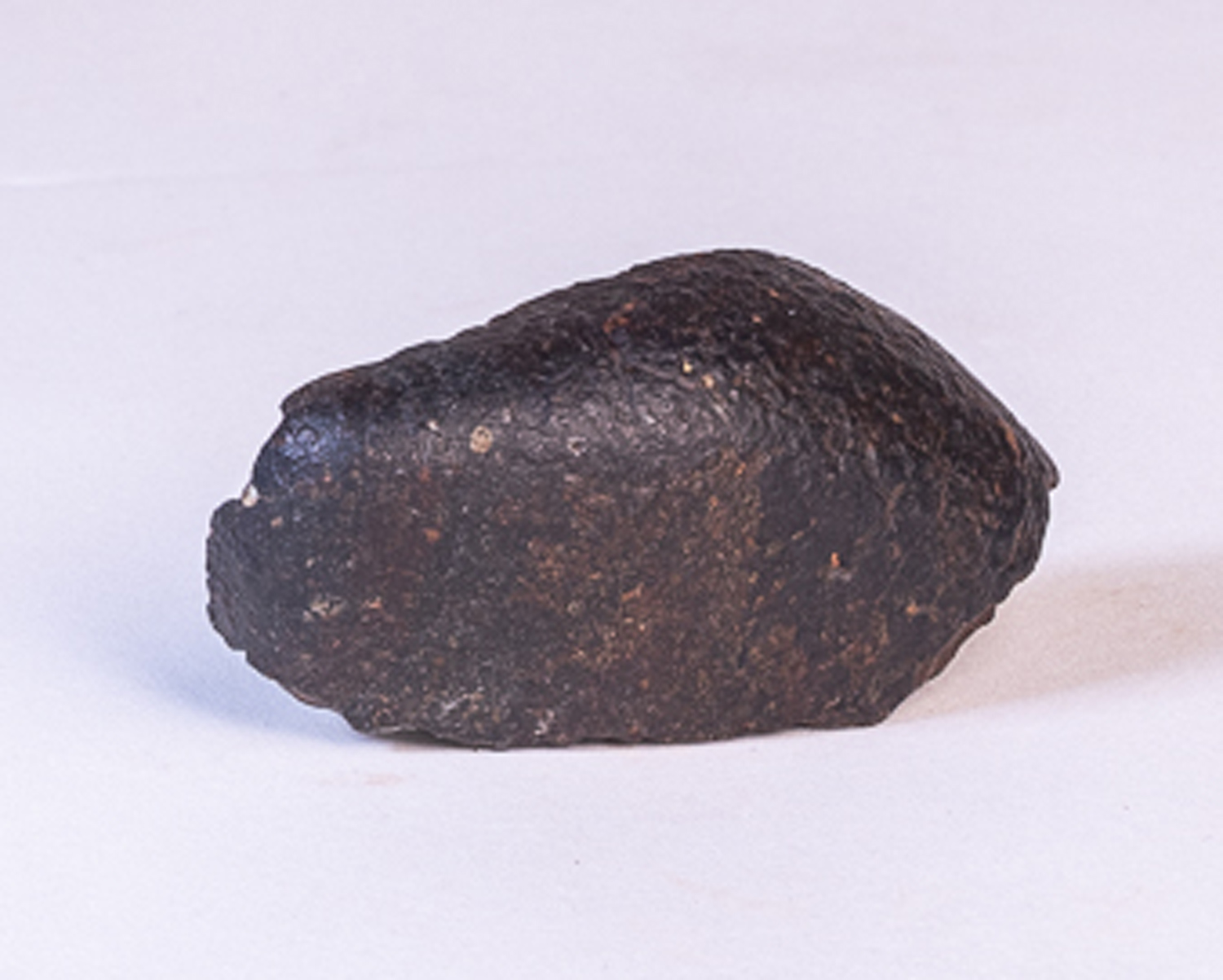 Meteorito NWA - L6 - Ref. 19