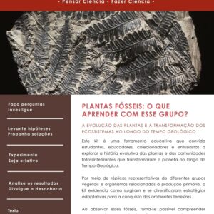 Encarte:  Kit biodiversidade: plantas fósseis e paleoambientes