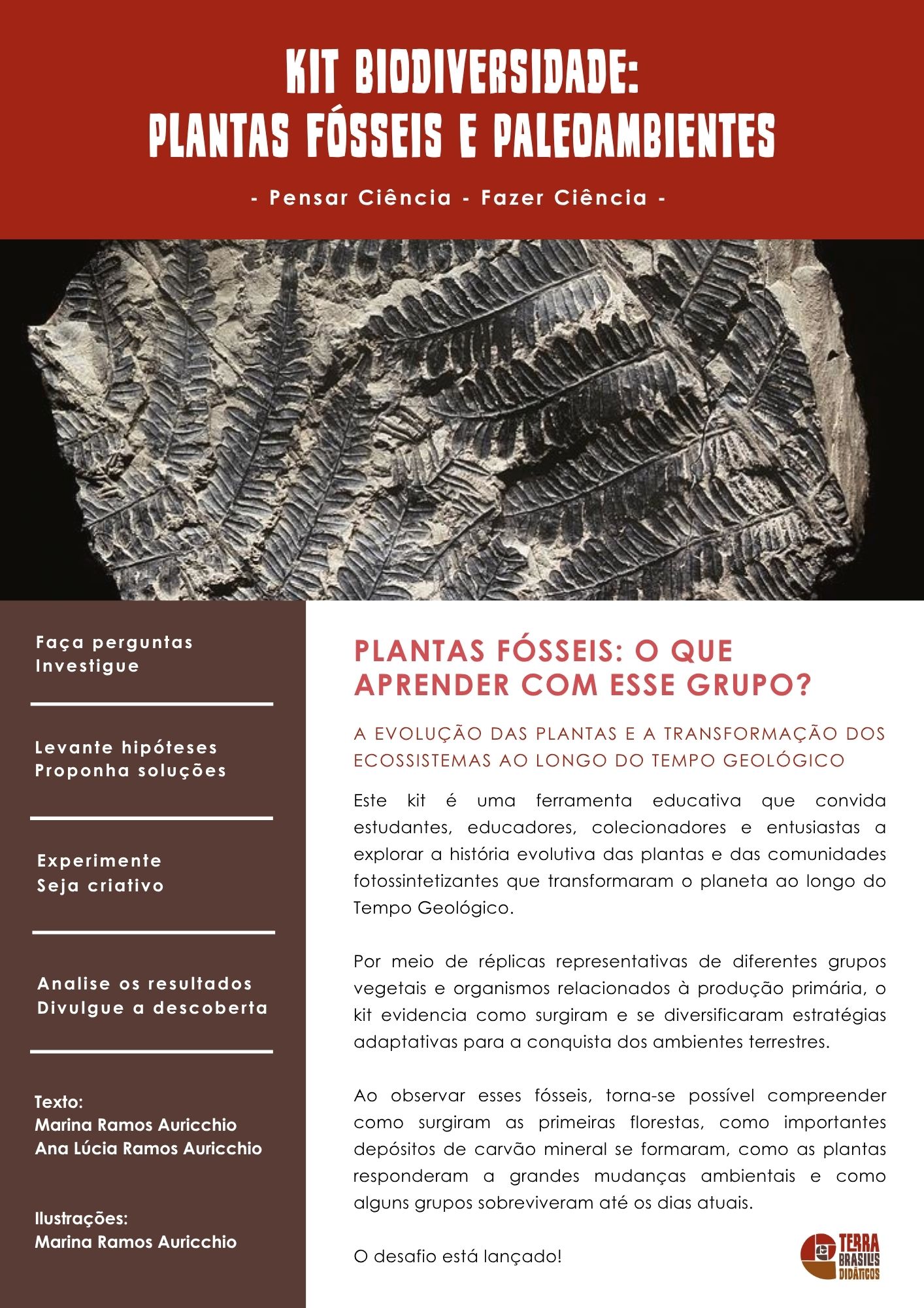 Encarte:  Kit biodiversidade: plantas fósseis e paleoambientes